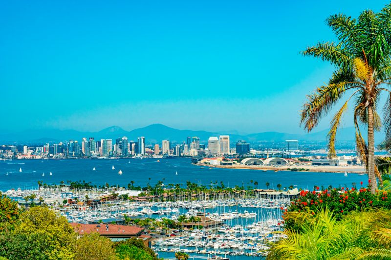 Sheet Flooring Installation in San Diego, CA