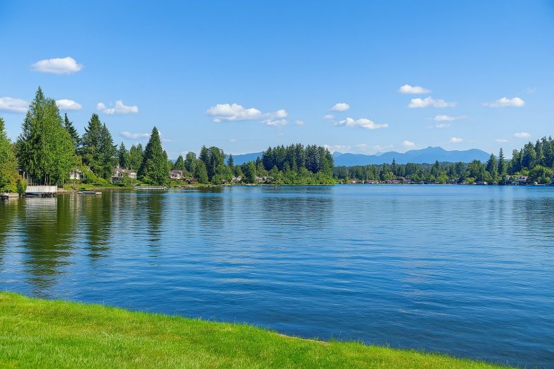 Sheet Flooring Installation in Lake Stevens, WA