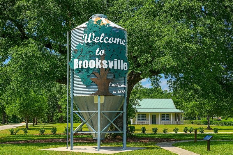 Sheet Flooring Installation in Brooksville, FL