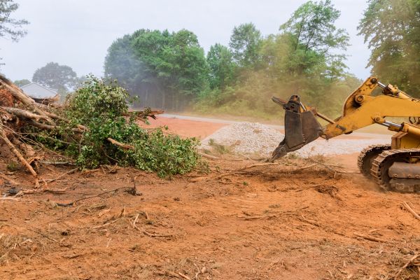 Ground Clearing
