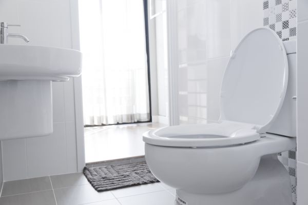 Toilet Installation