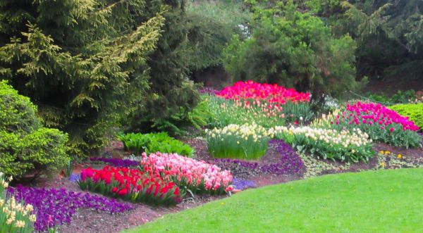 Garden Planting