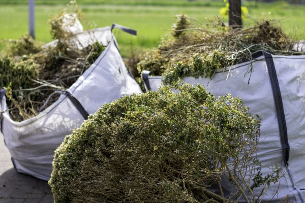 Shrub Removal Service