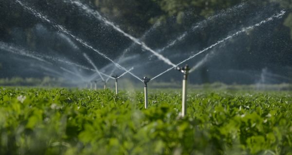 Irrigation Troubleshooting