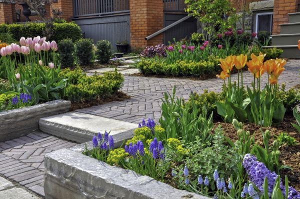 Paver Renovation