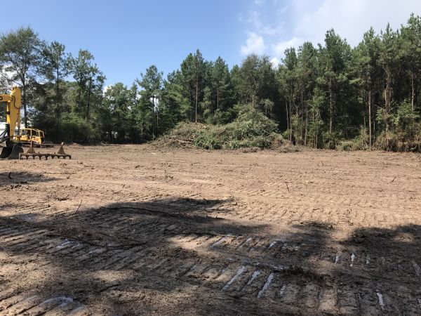 Land Cleaning