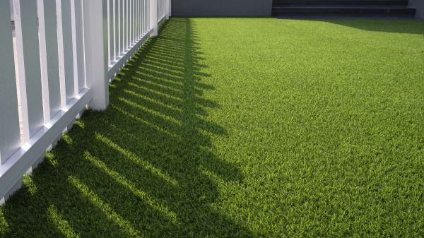 Artificial Pet Grass Install