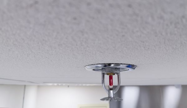 Fire Sprinkler Assembly