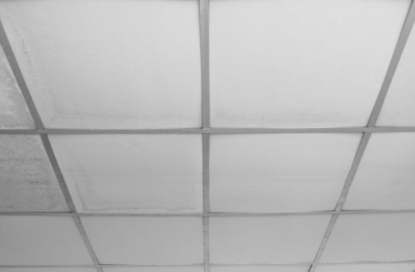 Ceiling Panel Repair