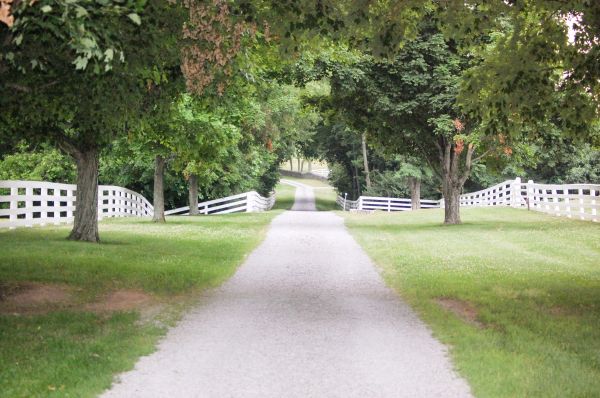 Gravel Road Improvement