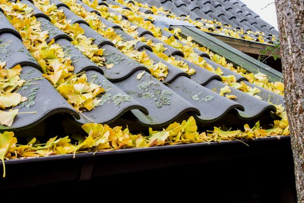 Roof Leaf Disposal