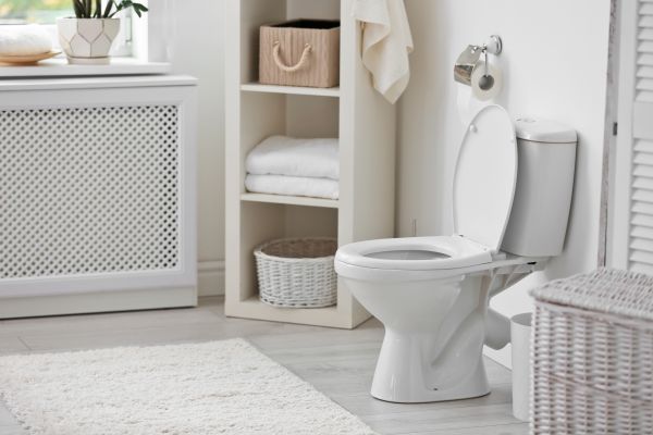 Toilet Mounting