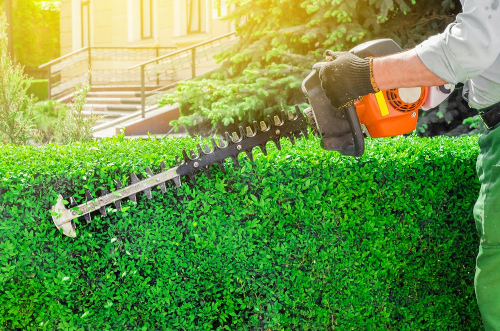 Shrub Grooming
